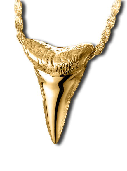 Shark Tooth