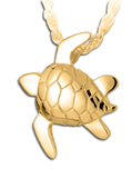 Gold Sea Turtle