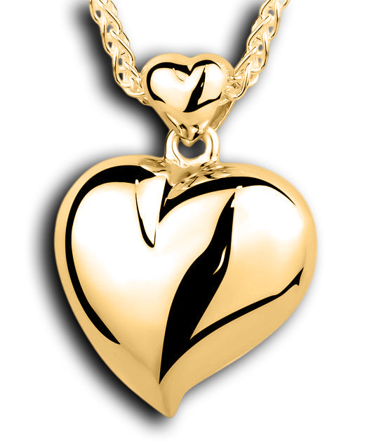 Dual Chamber Heart