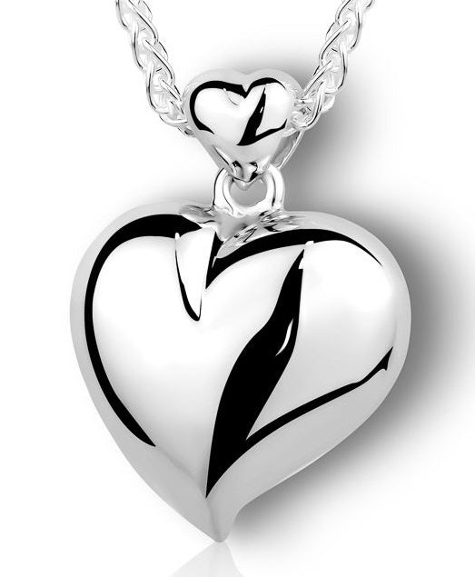 Dual Chamber Heart