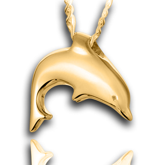 Dolphin