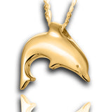 Dolphin
