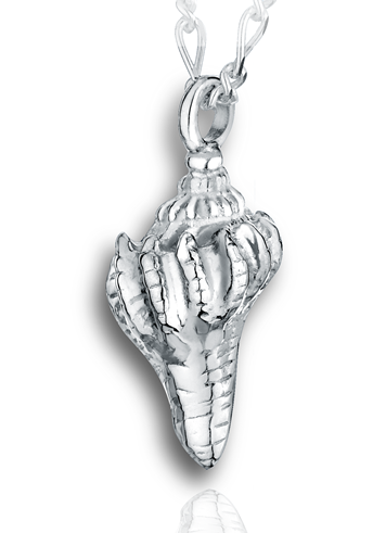 Conch Shell