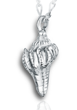 Conch Shell