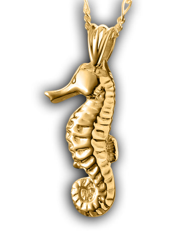 Seahorse