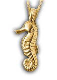 Seahorse