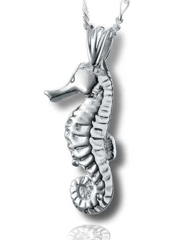 Seahorse