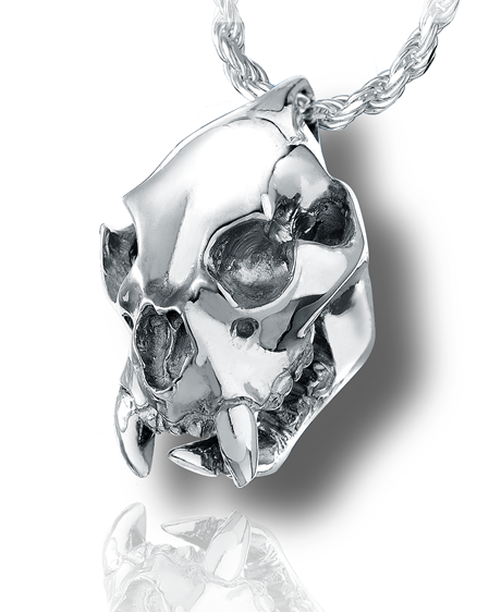 Cougar Skull