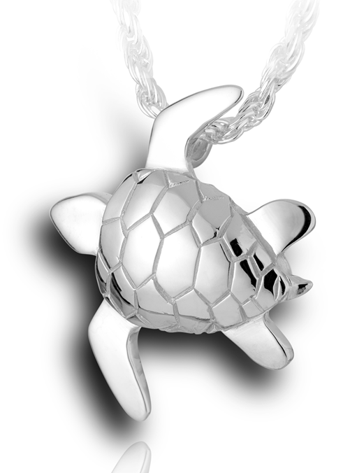 Sea Turtle
