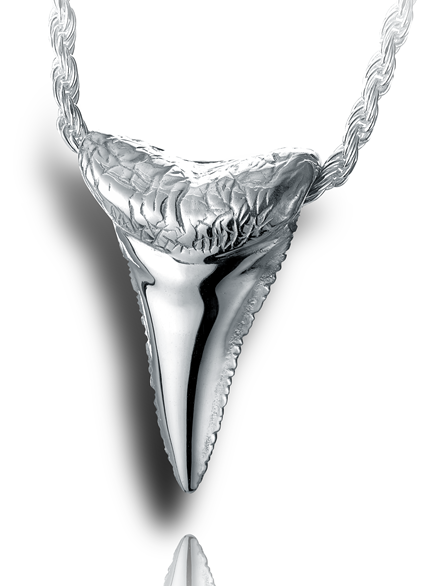 Shark Tooth