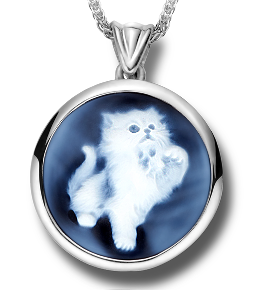 Kitten Cameo